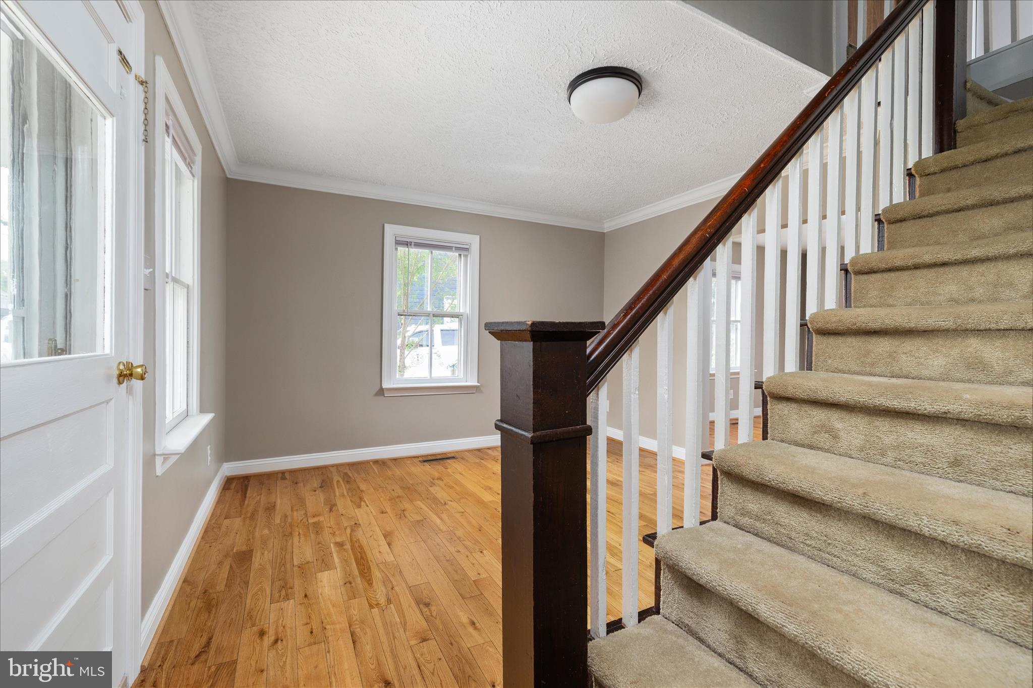 325 Ritenour Street Front Royal, VA 22630 - Photo 3 of 51 BY1A6268_325 Ritenour St - Absolute Altitude -4 -