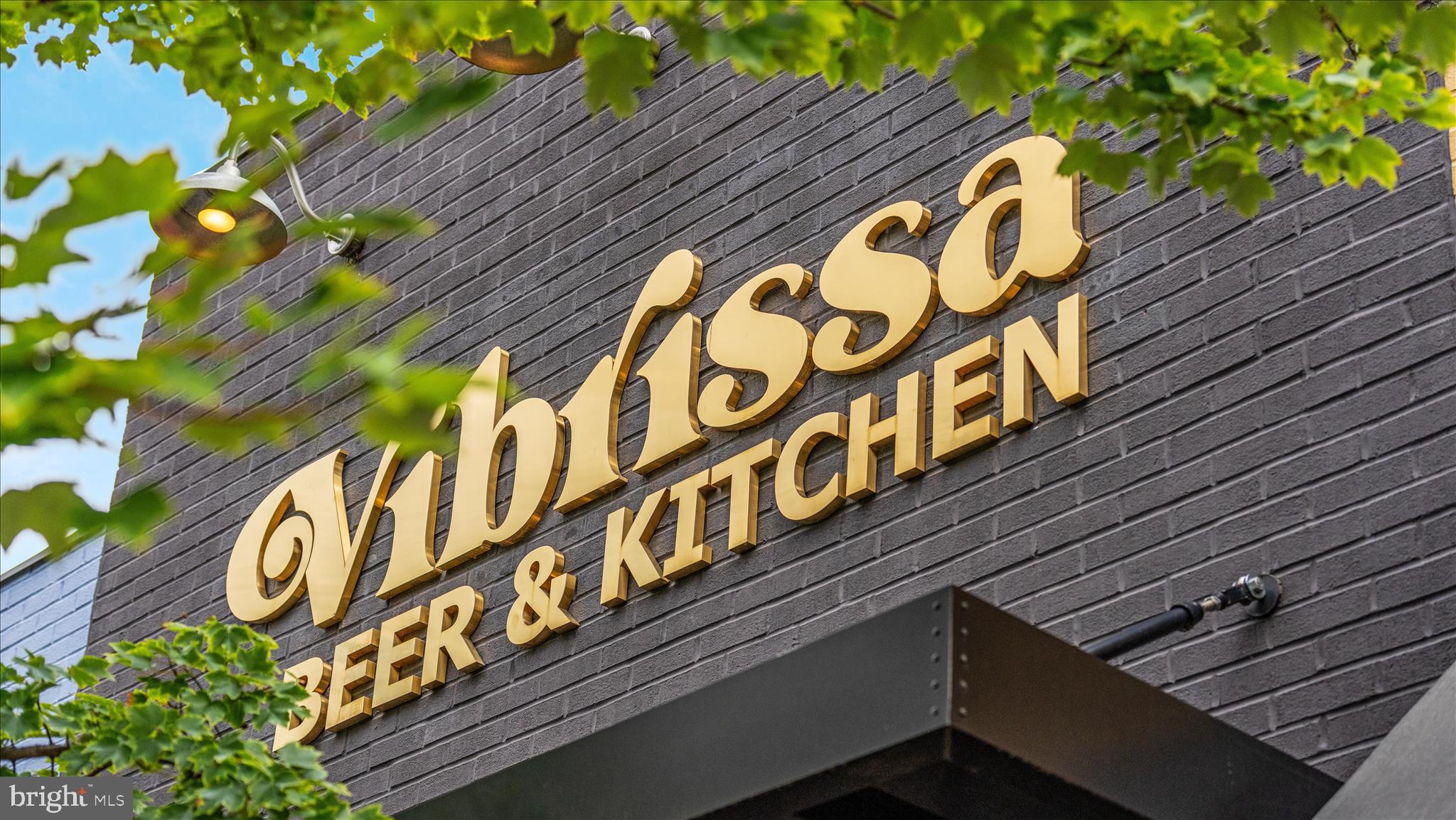 325 Ritenour Street Front Royal, VA 22630 - Photo 44 of 51 DSC04856_Front Royal - Absolute Altitude -7 - 202