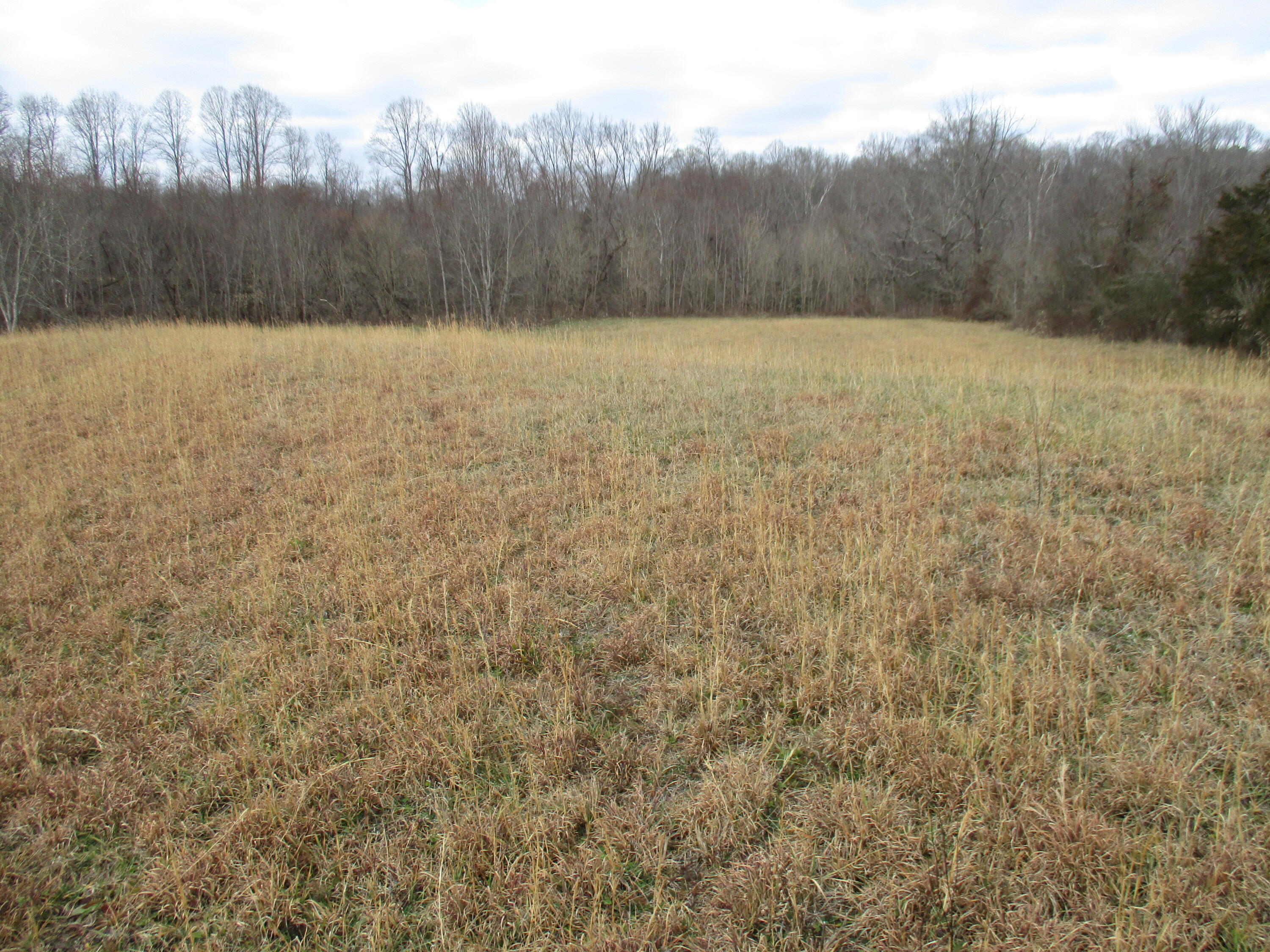 1015 Louden Road Williamsburg, KY 40769 - Photo 13 of 22 IMG_9462