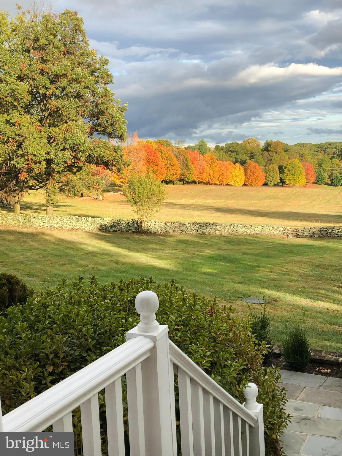 1310 Delaplane Grade Road Upperville, VA 20184 - Photo 55 of 94 View of the maples on the driveway in fall