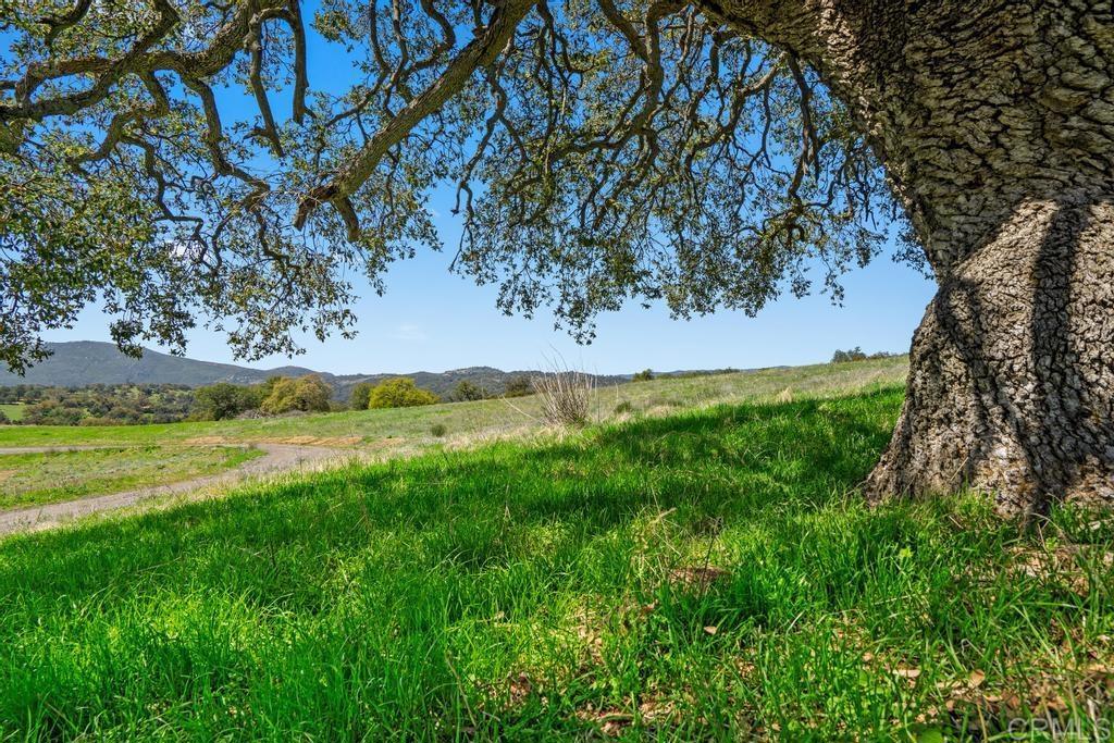 25677 Mesa Grande Road Santa Ysabel, CA 92070 - Photo 15 of 28 a view of yard with green space
