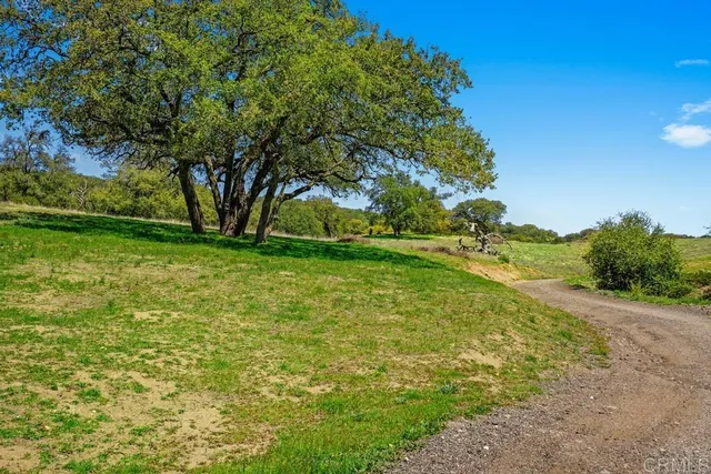 a view of a field with an trees