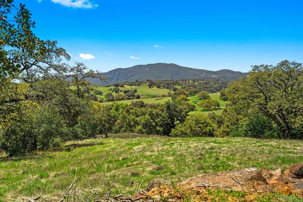 25677 Mesa Grande Road Santa Ysabel, CA 92070 - Photo 2 of 28 a view of a lush green outdoor space with a mountain