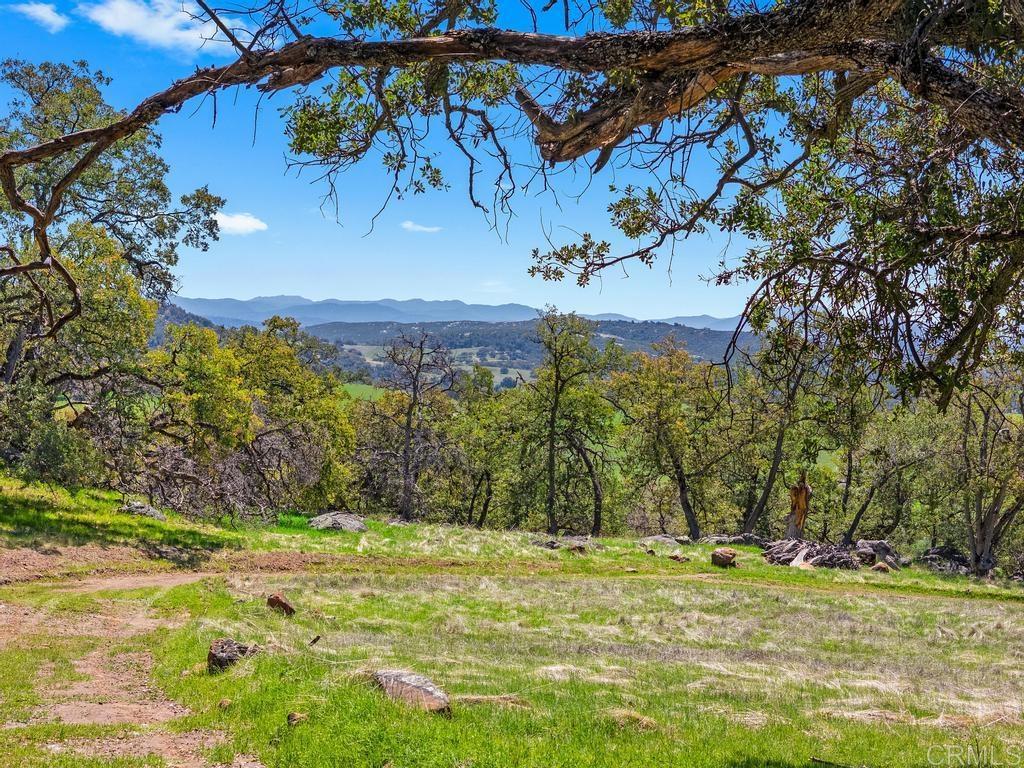 25677 Mesa Grande Road Santa Ysabel, CA 92070 - Photo 21 of 28 a view of a yard