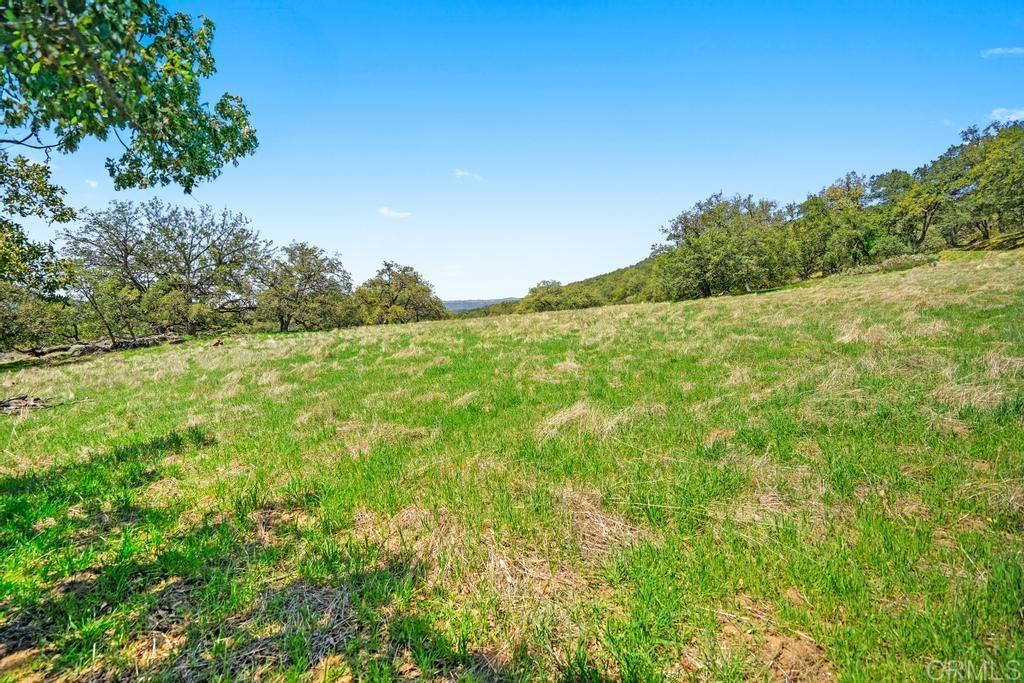 25677 Mesa Grande Road Santa Ysabel, CA 92070 - Photo 22 of 28 a view of a big yard with plants and large trees