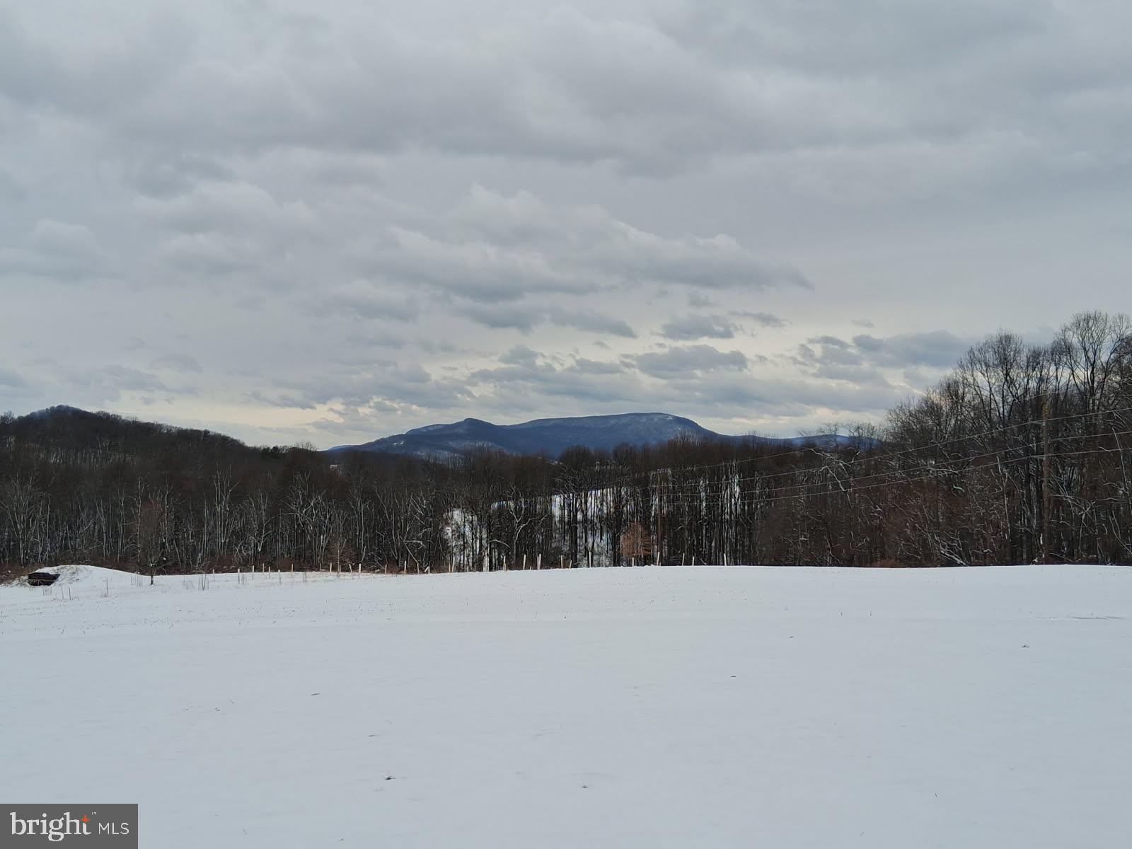 147 Scout Road Kempton, PA 19529 - Photo 67 of 74