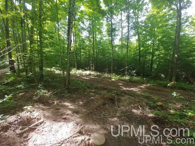 40-acres Co Rd 467 Germfask, MI 49836 - Photo 2 of 22