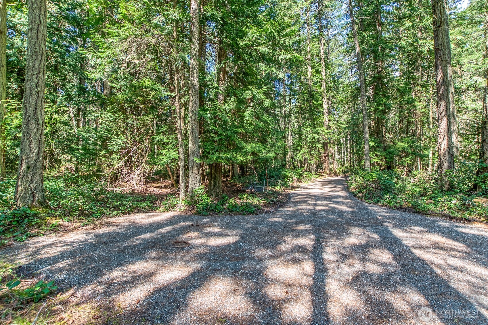 0 Tibbs Road Shaw Island, WA 98286 - Photo 15 of 36 a view of a forest with trees