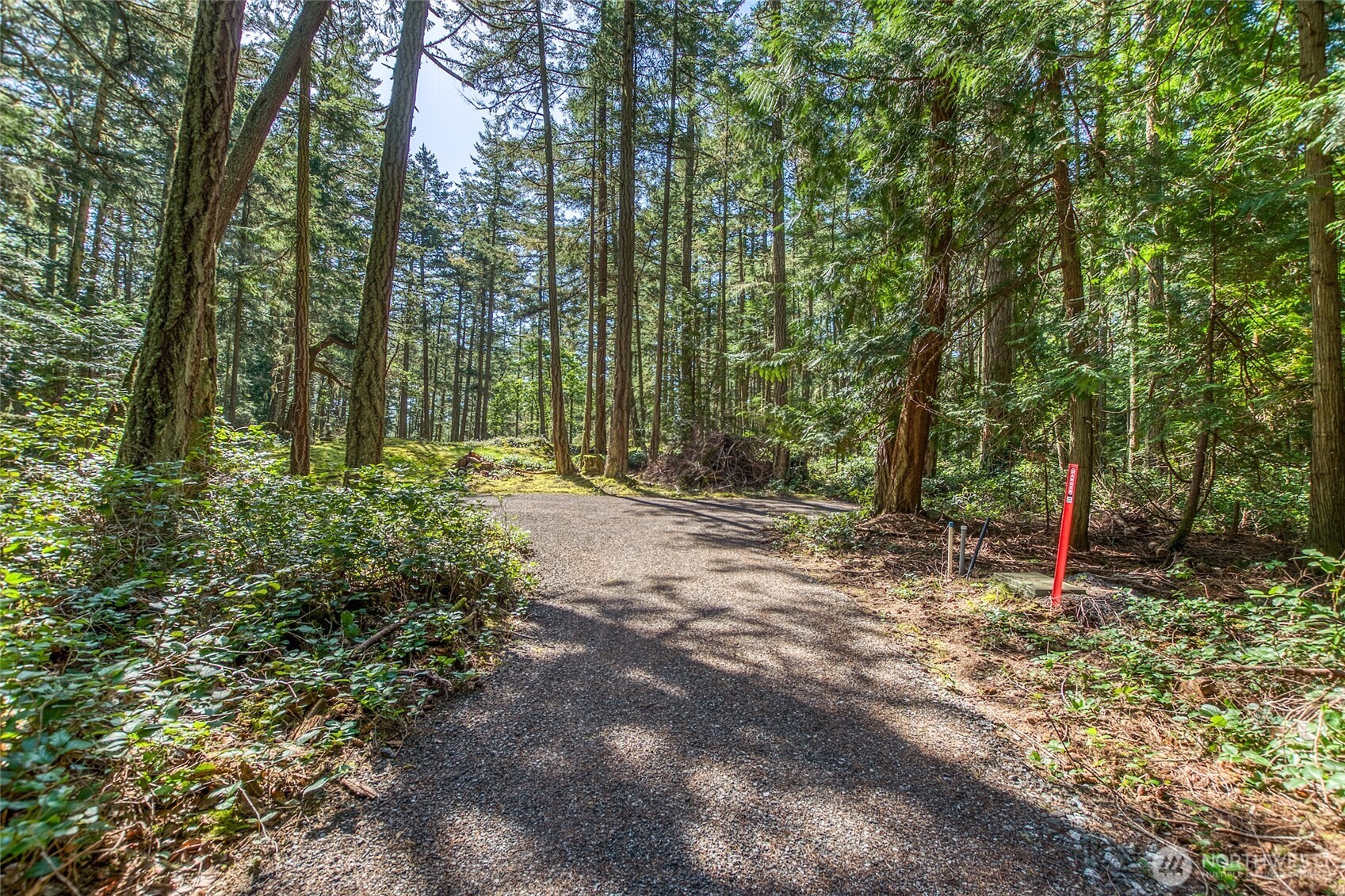 0 Tibbs Road Shaw Island, WA 98286 - Photo 18 of 36 a view of outdoor space and trees all around