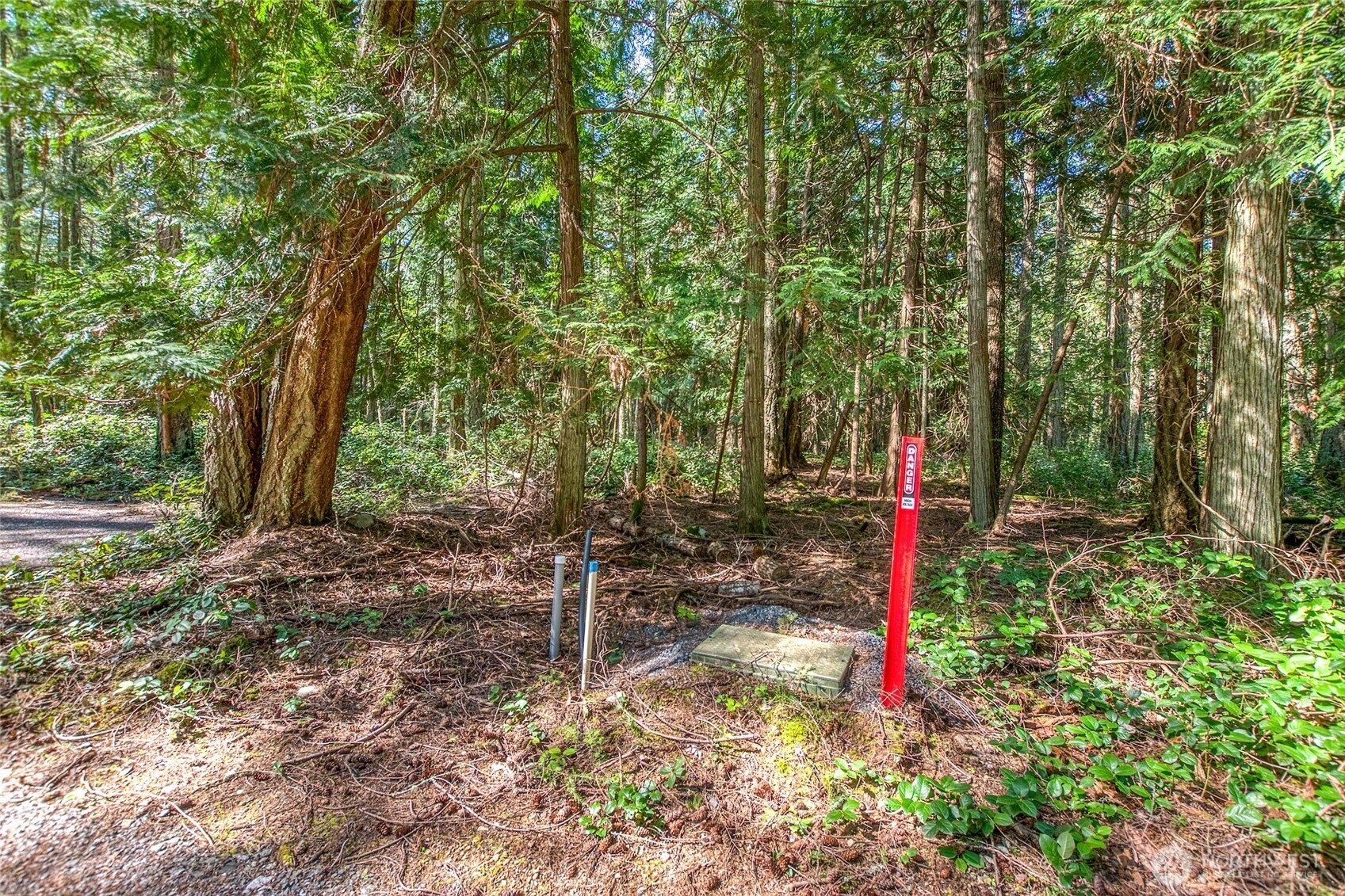 0 Tibbs Road Shaw Island, WA 98286 - Photo 19 of 36 a backyard of a house with entertaining space