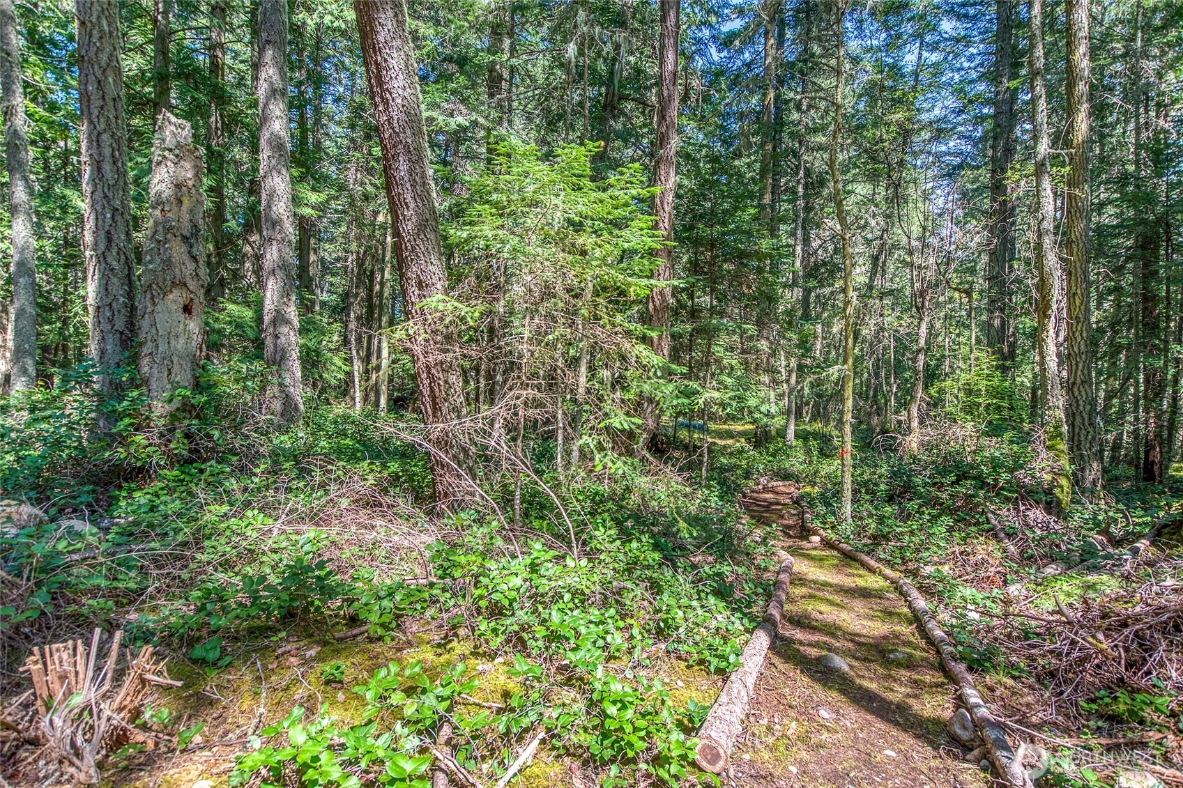 0 Tibbs Road Shaw Island, WA 98286 - Photo 21 of 36 a view of outdoor space and green space
