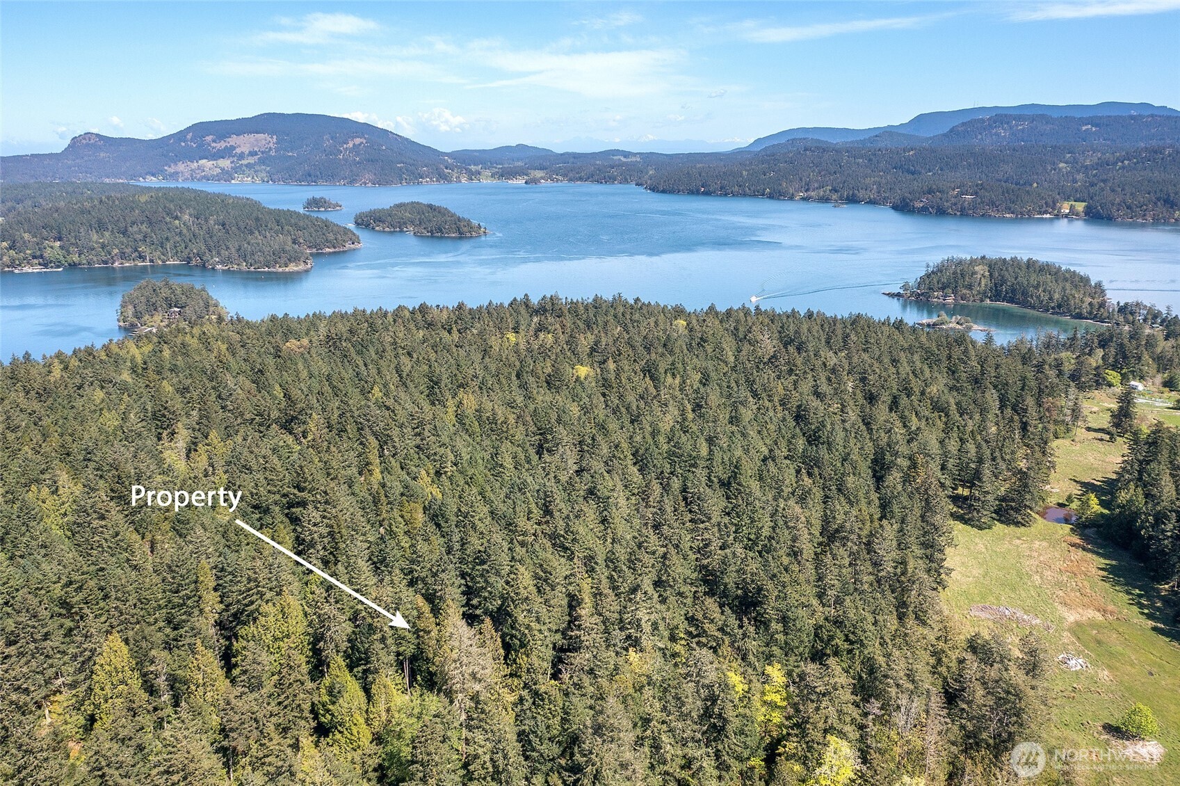 0 Tibbs Road Shaw Island, WA 98286 - Photo 29 of 36 a view of a mountain in the distance