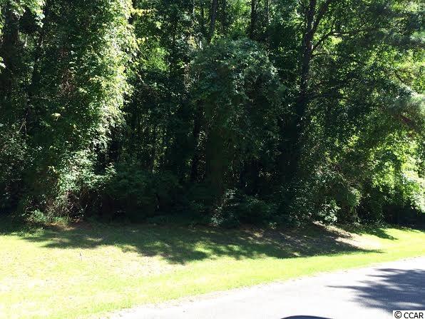 Lot 41 Anchor Road Little River, SC 29566 - Photo 1 of 15