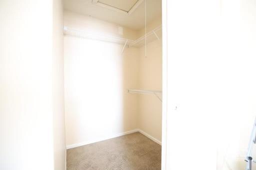936 Edpas Road New Brunswick, NJ 08901 - Photo 15 of 18