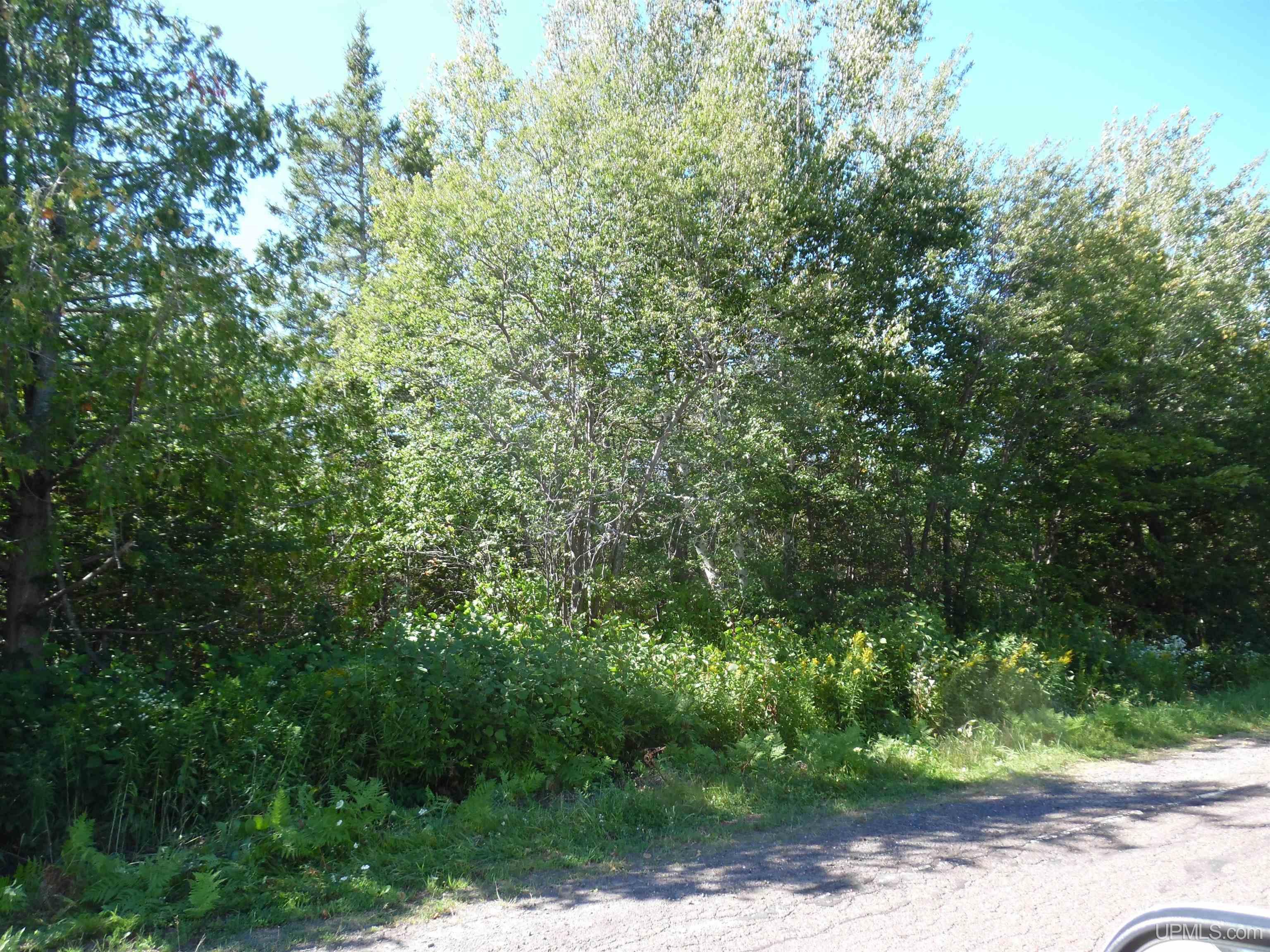 Tbd-00 Rauhala Road Atlantic Mine, MI 49905 - Photo 13 of 14 Gallery Image 13