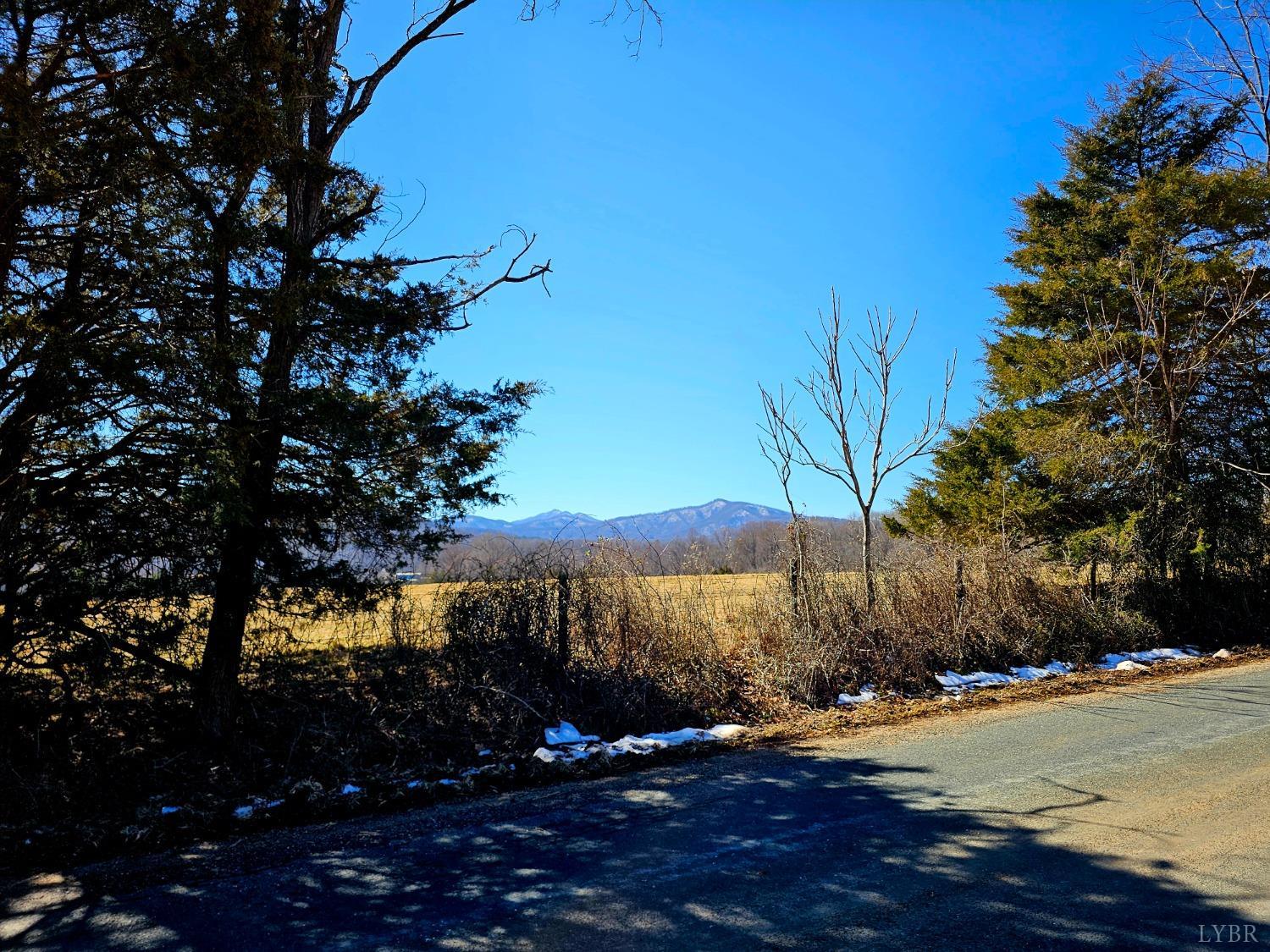 2050 Turkey Mountain Road Amherst, VA 24521 - Photo 4 of 15