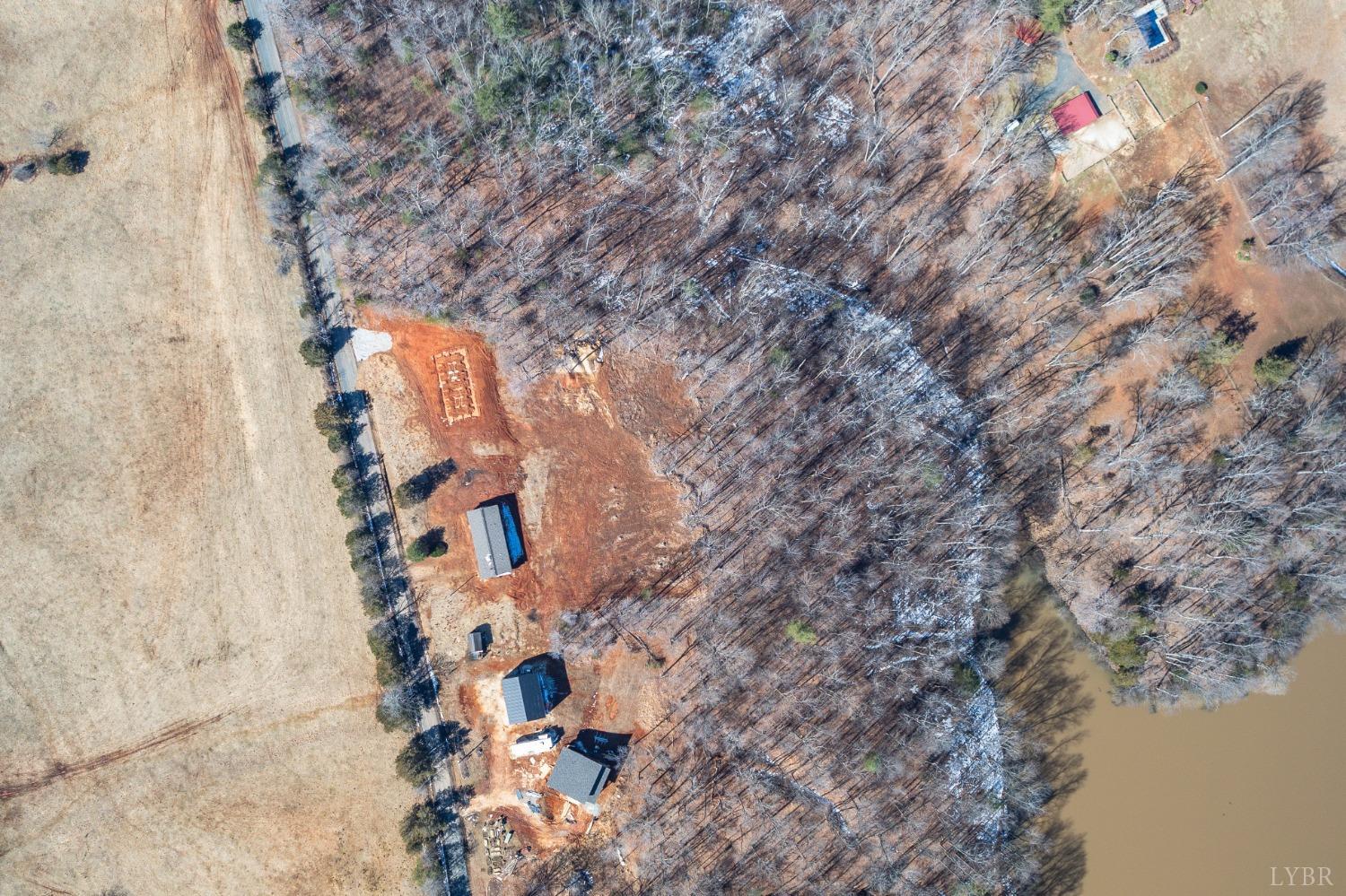 2050 Turkey Mountain Road Amherst, VA 24521 - Photo 8 of 15 a picture of tree