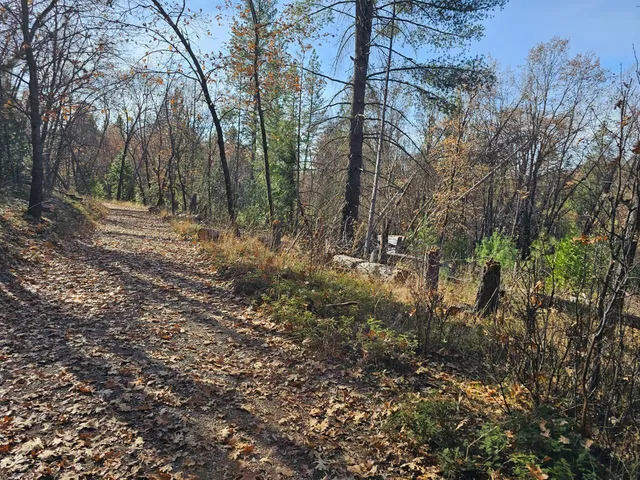 $350,000 | 250 Acorn Way, West Point, CA 95255