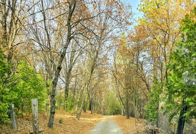 $350,000 | 250 Acorn Way, West Point, CA 95255