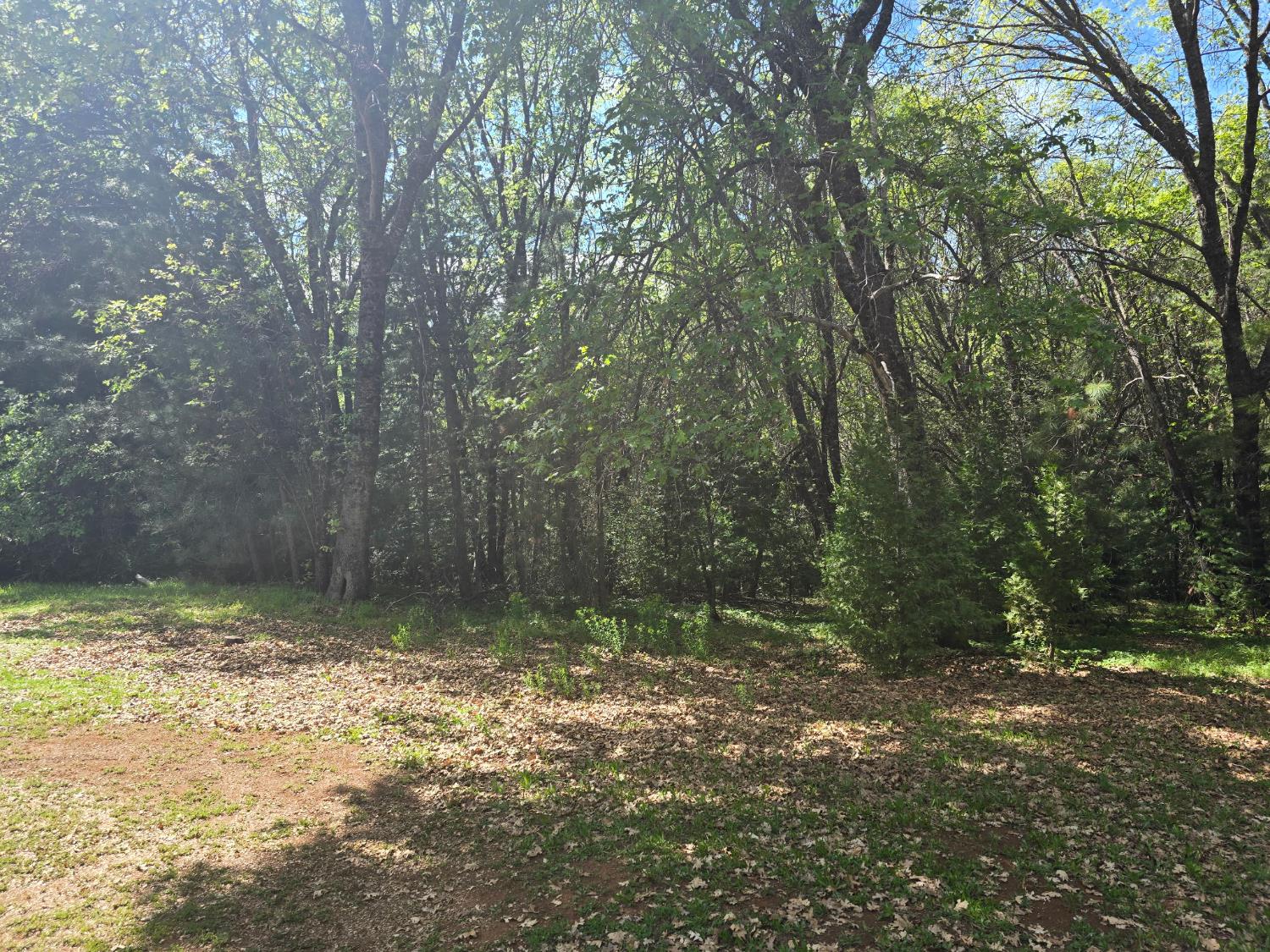 250 Acorn Way West Point, CA 95255 - Photo 30 of 32 a view of backyard with green space