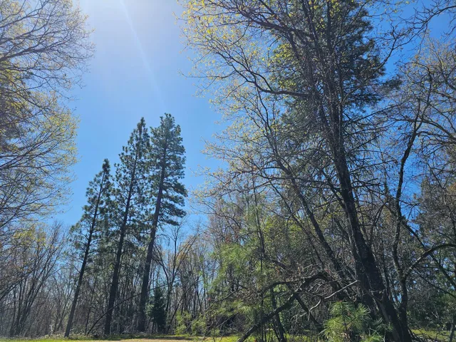 $350,000 | 250 Acorn Way, West Point, CA 95255