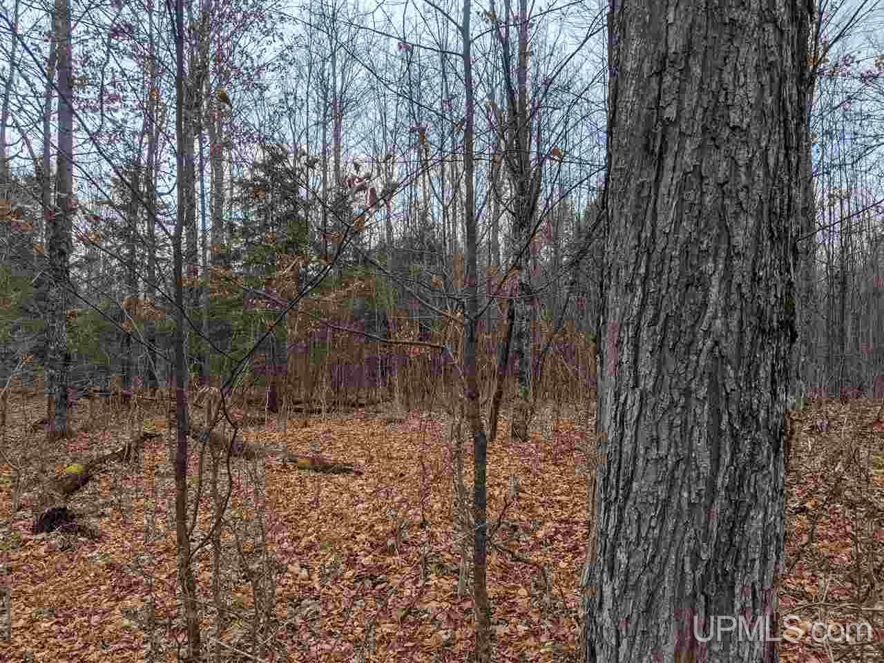 Tbd Tbd Unnamed Road Cornell, MI 49818 - Photo 3 of 10