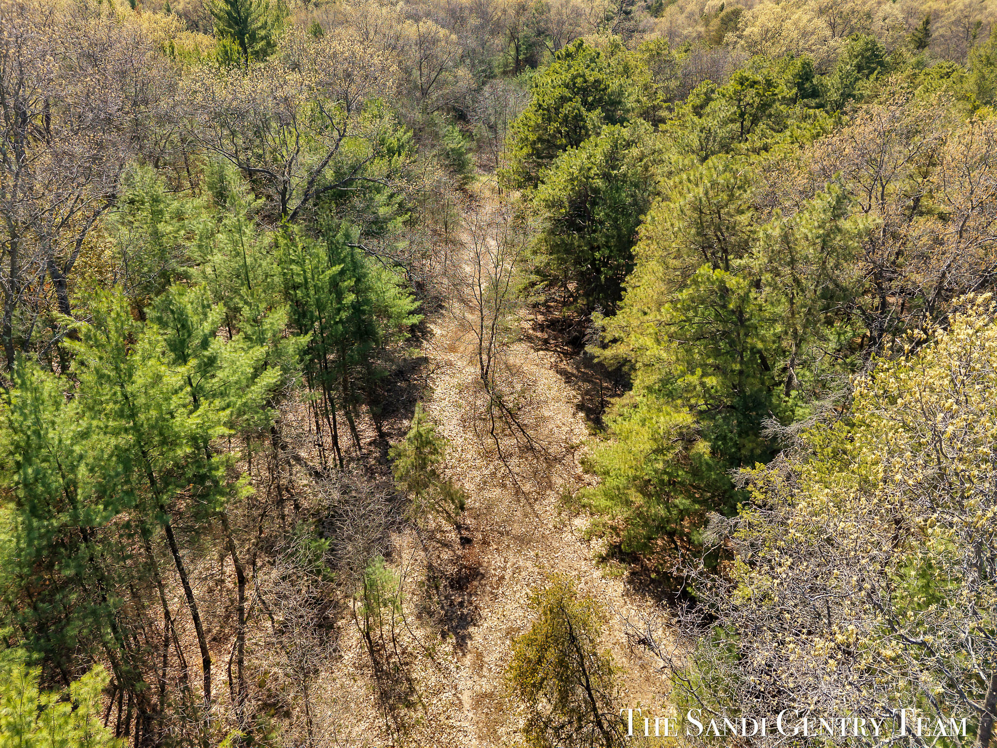 Whitehall Road Whitehall, MI 49461 - Photo 7 of 13 DJI_20260514163426_0363_D_KYLE