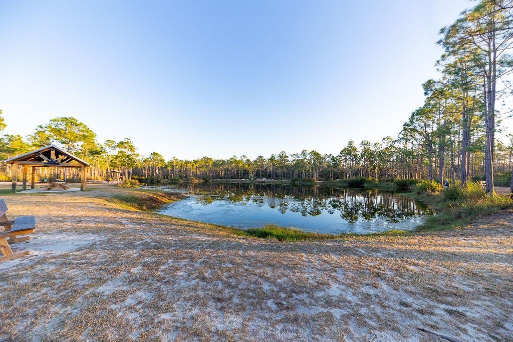 4204 Lauder Lane Orange Beach, AL 36561 - Photo 36 of 47