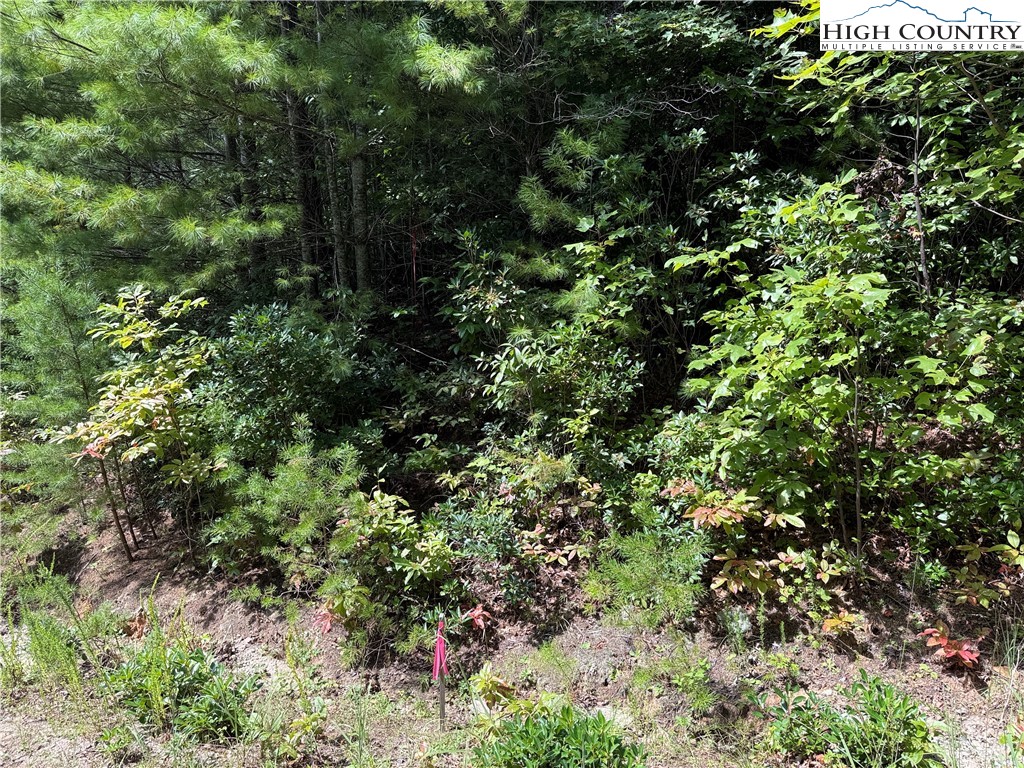 Lot 163 Staghorn Road Purlear, NC 28665 - Photo 11 of 40