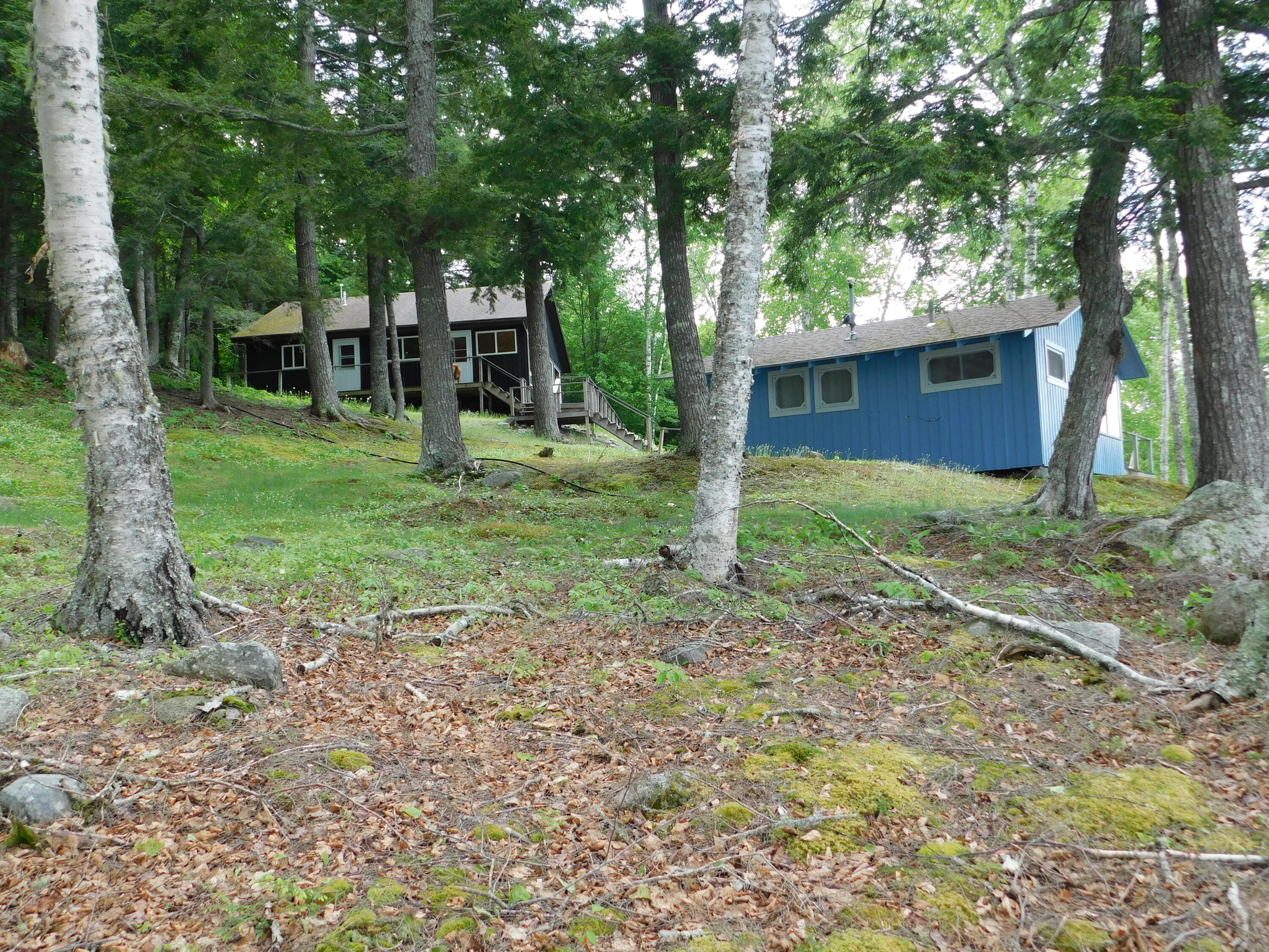 0 Walker Brook Road Vanceboro, ME 04491 - Photo 15 of 64 DSCN0066