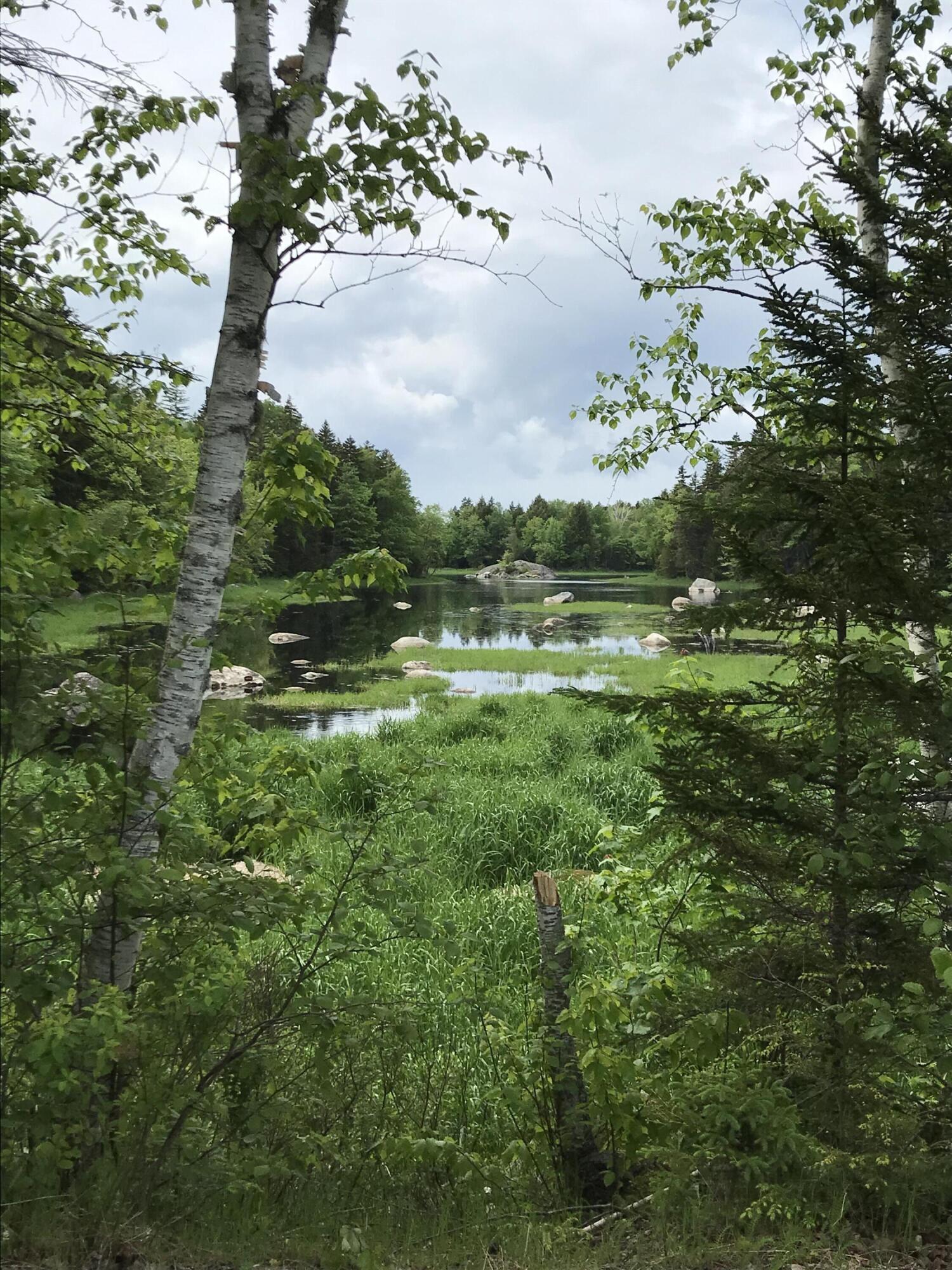 0 Walker Brook Road Vanceboro, ME 04491 - Photo 64 of 64 Walker Brook