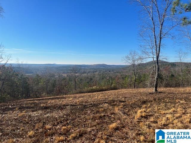 Tablee Lane, Unit 17 65 Ashland, AL 36251 - Photo 1 of 7