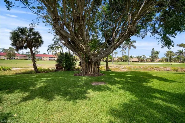 a view of an outdoor space with a garden