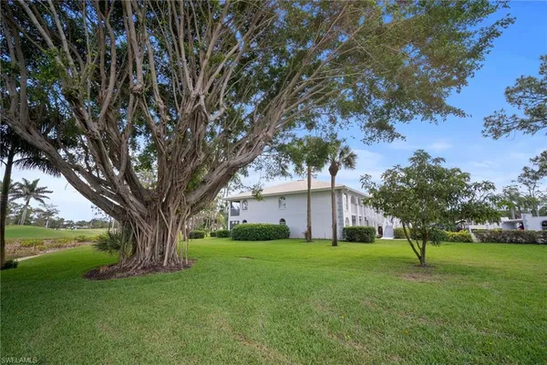 a view of a house with a tree in a yard