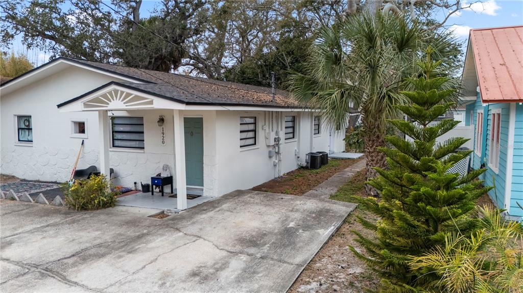 a view of a backyard with plants and a tree