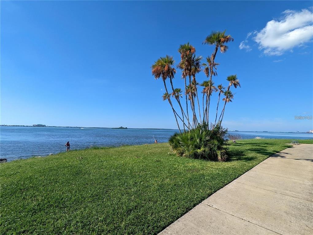 1922 Springtime Avenue Clearwater, FL 33755 - Photo 22 of 27 a view of a yard with table and a potted plant