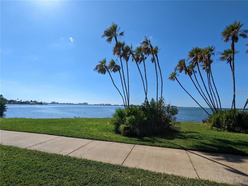 1922 Springtime Avenue Clearwater, FL 33755 - Photo 23 of 27 a view of a backyard