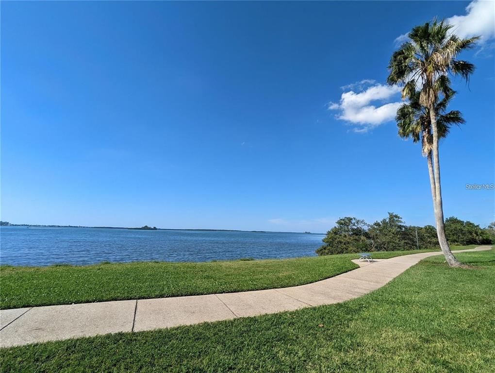 1922 Springtime Avenue Clearwater, FL 33755 - Photo 24 of 27 a view of a yard with a house