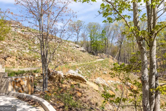 a view of a yard covered with trees