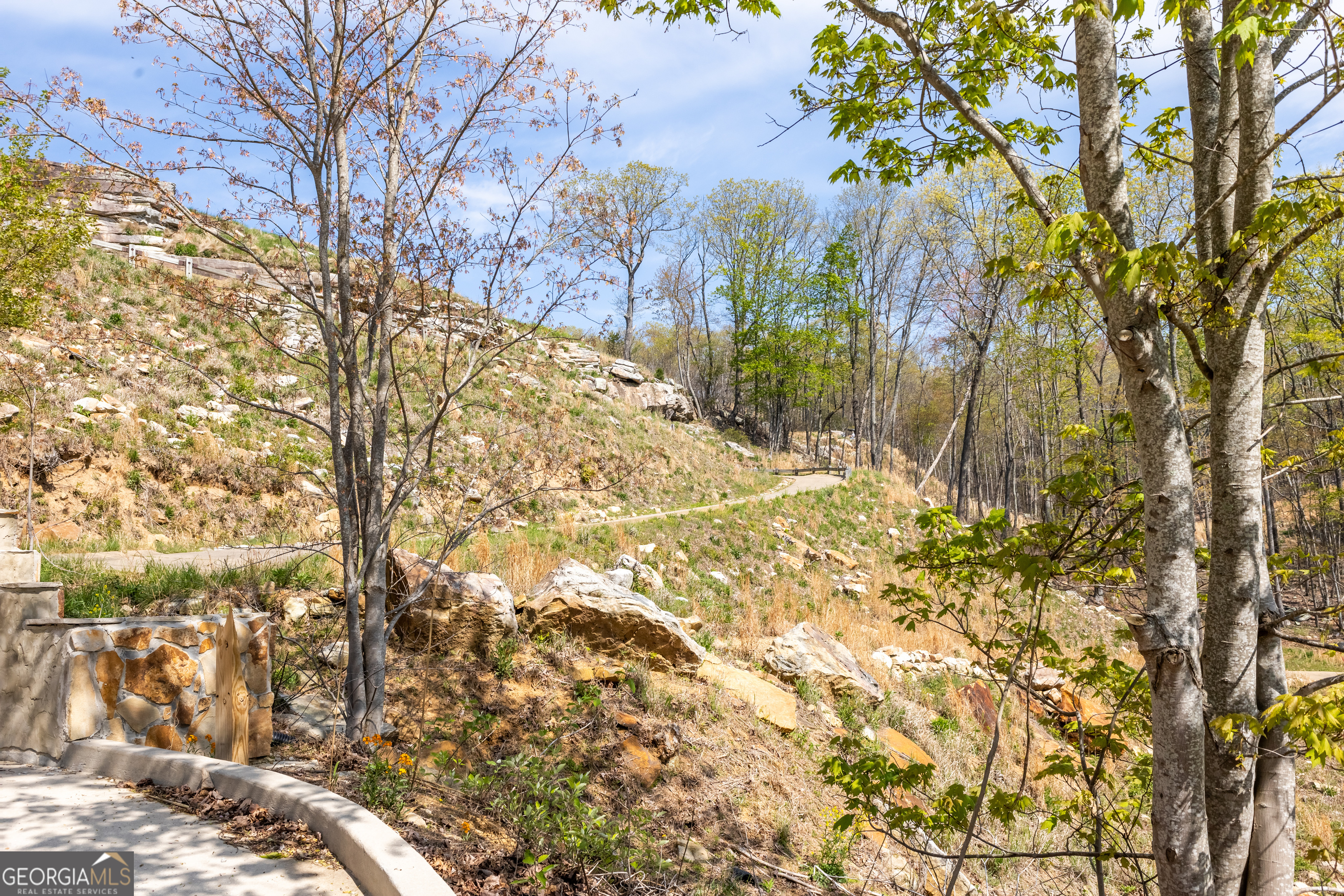 159 Eagle Creek Trail Rising Fawn, GA 30738 - Photo 34 of 37 a view of a yard covered with trees