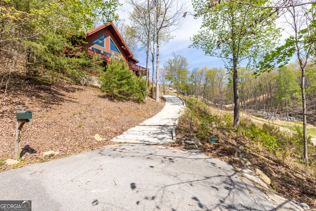 a view of a yard with trees