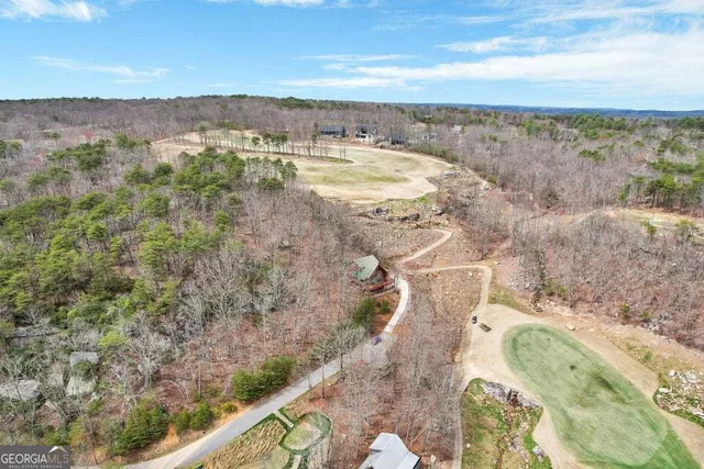 a view of a lake with a mountain