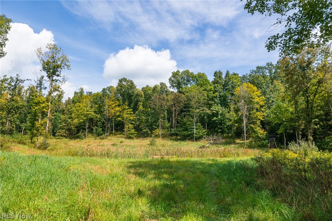 27339 Tabor Ridge Road, Unit 2 Caldwell, OH 43724 - Photo 16 of 50 Gallery Image 16