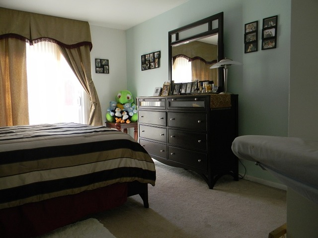 129 Virginia Court Streamwood, IL 60107 - Photo 8 of 14 a bedroom with a bed dresser mirror and a window