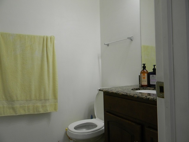 129 Virginia Court Streamwood, IL 60107 - Photo 10 of 14 a bathroom with a granite countertop sink toilet and a mirror