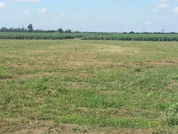 $500,000 | 1201 Lawrence, Sikeston, MO 63801