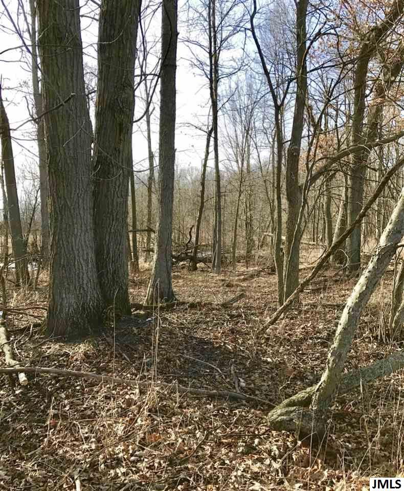 8688 Case Road Brooklyn, MI 49230 - Photo 4 of 10 Photo 4