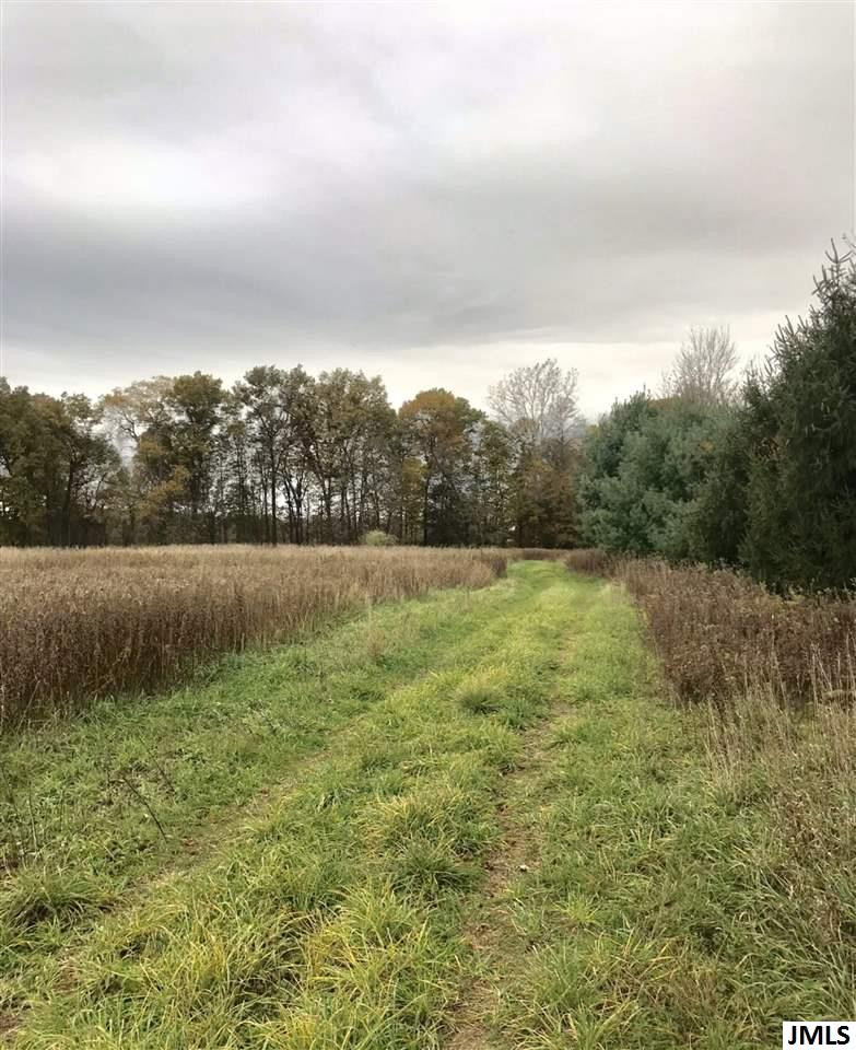8688 Case Road Brooklyn, MI 49230 - Photo 6 of 10 Photo 6