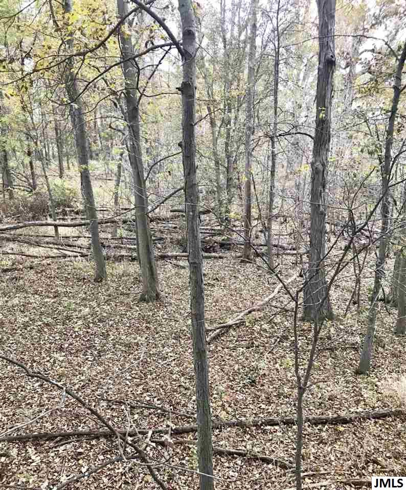8688 Case Road Brooklyn, MI 49230 - Photo 7 of 10 Photo 7