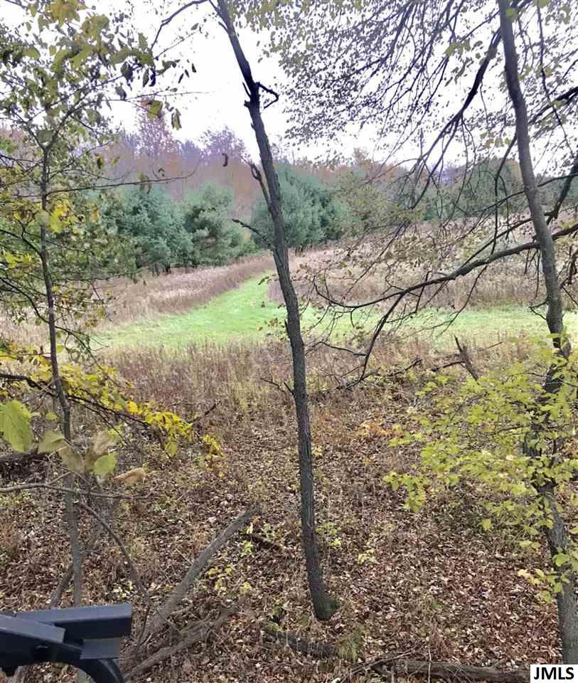 8688 Case Road Brooklyn, MI 49230 - Photo 8 of 10 Photo 8